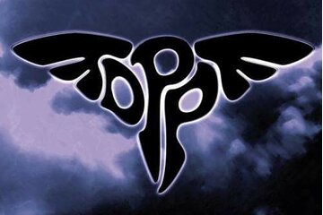 Bild der Petition Daily Peace Project goes Spotify