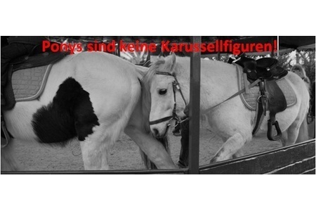 Bild der Petition: "Dein Spaß ist des Ponys Leid"