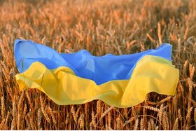 Image of the petition: Demand that Russia stop the blockage of grain shipments from Ukraine to prevent global famine