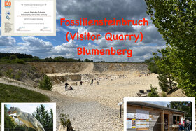Bild der Petition: Den Fossiliensteinbruch Blumenberg erhalten!