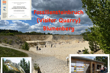 Bild der Petition Den Fossiliensteinbruch Blumenberg erhalten!