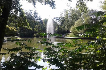 Bild der Petition: Den See im Kurpark Mingolsheim erhalten!
