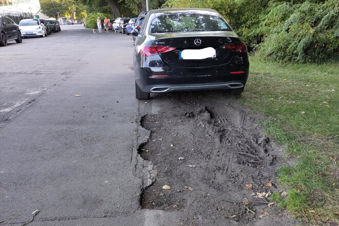 Bild av namninsamlingen Der Clara-Zetkin-Park ist ein Park und kein Parkplatz