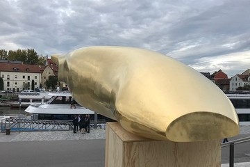 Bild der Petition Der goldene Waller ist Geldverschwendung