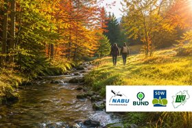 Bild der Petition: Der Kreis Herford darf nicht Schlusslicht beim Naturschutz bleiben!