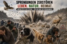 Bild der Petition: Der Sprengplatz im Grunewald muss weg!