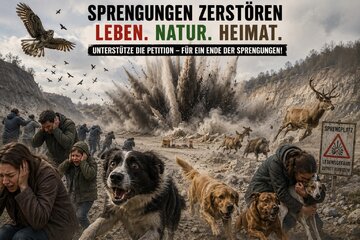 Image of the petition Der Sprengplatz im Grunewald muss weg!