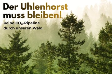 Bild der Petition Der Uhlenhorst muss bleiben! Keine CO₂-Pipeline durch unseren Wald!
