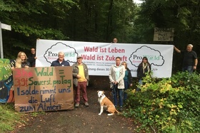 Foto della petizione:Der Wald gehört den Bürgern! Gegen die Rodung von 30.000 m² Wald in Saarbrücken-Gersweiler