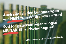 Slika peticije:Der Wildschweinzaun an der deutsch-dänischen Grenze muss weg!