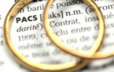 Bild der Petition Der Zivile Solidaritätspakt (PACS) soll(te) auch in der BRD möglich werden/sein
