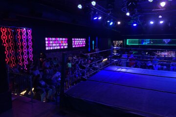 Image of the petition Deregulate Professional Wrestling in the State of Maryland