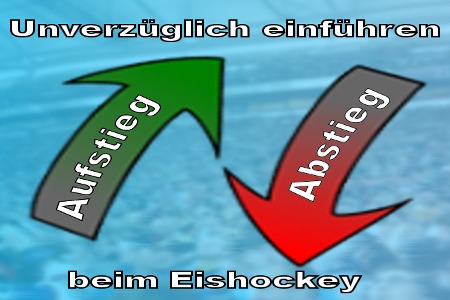 Bild der Petition: Deutsches Eishockey - Sportlicher Auf- und Abstieg zwischen DEL und DEL2 – Unverzüglich !