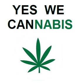 Bild der Petition: Deutschlandweite Legalisierung von Cannabis unter staatlicher Kontrolle
