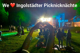 Bild der Petition: Die Ingolstädter Picknicknächte auch 2021 im Freibad