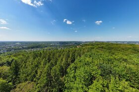Bild der Petition: Die Stadt Wuppertal soll das Waldareal Königshöhe/Kiesberg aus den BUGA-2031-Plänen entfernen!