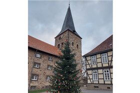 Obrázok petície: "Die Tanne vor der Klosterkirche soll bleiben" - Sie darf nicht gefällt werden!