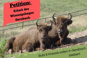 Bild der Petition: Die Wisente Bubi & Kressie sollen leben und das Wisentgehege in Gersbach bestehen bleiben!