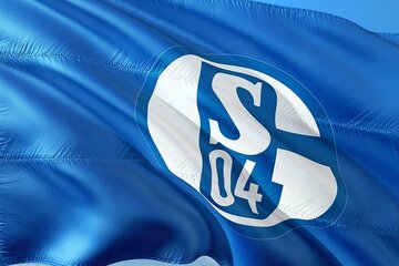 Image of the petition Digitale Mitgliederversammlung auf Schalke