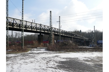 Bild der Petition: Direkter Zugang zum Oberwald muss auch während der Sanierung der Wasserwerkbrücke erhalten bleiben!