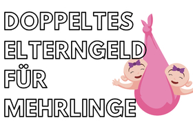 Bild der Petition: Doppeltes Elterngeld für Mehrlinge / Keine Benachteiligung von Zwillingseltern