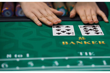 Image of the petition Dowin junket pauses, resumes operations next week