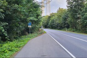 Bild der Petition: Durchgängiger Rad- und Fußweg an der Dorstener Straße (B226)