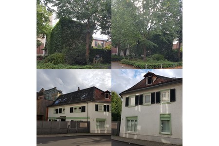 Petīcijas attēls:Ehemaliges Tibethaus Bockenheim: Verkauf der Grünfläche Stoppen & Erhaltung des Bestandes!