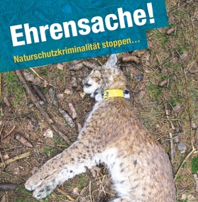 Bild der Petition: Ehrensache - Umweltkriminalität stoppen!