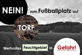 Foto da petição:Eigentor: Fußballplatz im Feuchtgebiet. Zentrumsnahe Alternativen wiederbeleben!