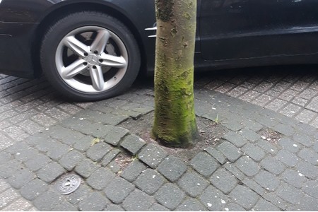 Foto e peticionit:Eil Petition zum Erhalt unserer Straßenbäume auf der Düsseldorferstraße im Dorf Saarn