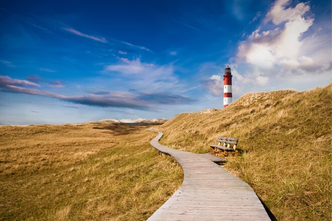 A petíció képe EILT! Keine Silvesterknallerei auf Amrum!