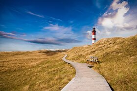 Bild der Petition: EILT! Keine Silvesterknallerei auf Amrum!