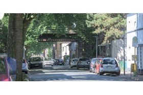 Bild der Petition: EILT Rettet 27 alte Bäume an der Wunderstraße in Oberhausen Lirich