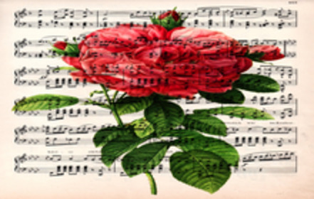 Foto e peticionit:Ein Denkmal für Rosen Rosi