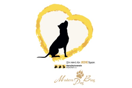 Obrázek petice:Ein Herz für JEDE Rasse. Helft mit zum Umdenken der bestehenden Bayrischen Kampfhundeverordnungung