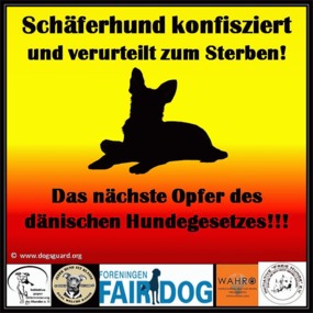 Kép a petícióról:Ein NEIN zum Mord am Schäferhund einer 64jährigen Rentnerin in Dänemark
