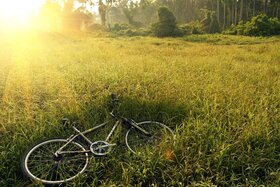 Bild der Petition: Ein Pumptrack für Waiblingen!