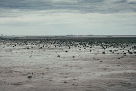 Imaginea petiției: Einberufung außerordentliche Eigentümerversammlung - Ferienhäuser Wurster Nordseeküste