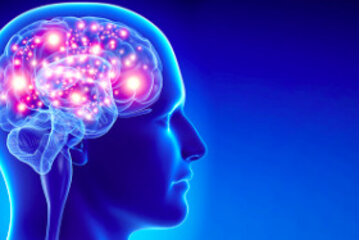 Bild der Petition Einen Feiertag für die Wissenschaft!