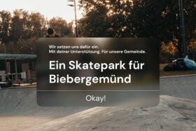 Bild der Petition: Einen Skatepark für Biebergemünd
