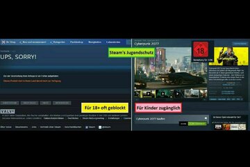 Bild der Petition Einführung eines Jugendschutzes in Steam und entfernung des Region-Blocks