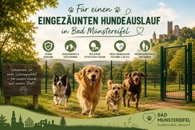 Bild der Petition: Eingezäunte Hundeauslauffläche in Bad Münstereifel