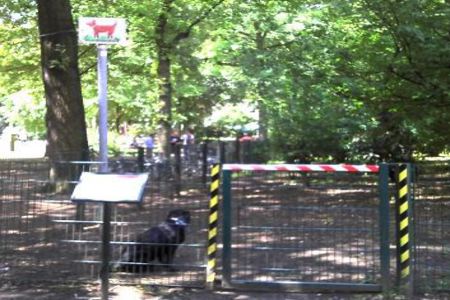 Bild der Petition: Eingezäunte Hundefreilauffläche für die Grünfläche am Ebertplatz Köln