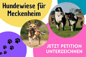 Photo de la pétition :(Eingezäunte) Hundewiese in Meckenheim, NRW