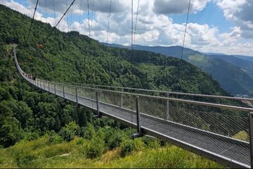 Immagine della petizione Einheimischen-Tarif für die BLACKFORESTLINE Todtnau