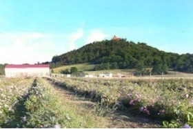 Bild der Petition: Einmaliges Ortsbild von Holzhausen in Gefahr- Alternativstandort für Silos gefordert!