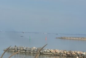 Bild der Petition: Einrichtung einer Taskforce zur Walrettung an der Ostseeküste