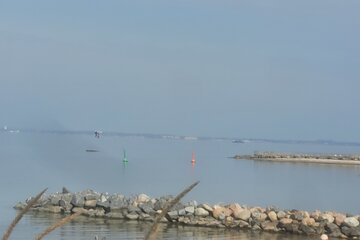 Bild der Petition Einrichtung einer Taskforce zur Walrettung an der Ostseeküste