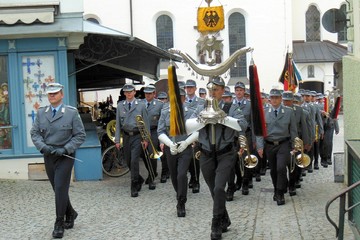 Bild der Petition Einsetzung der Bundeswehr zur Pflanzung von Bäumen